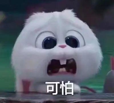 千万级网红吃瓜事件真相,真相背后的惊人内幕 第3张 千万级网红吃瓜事件真相,真相背后的惊人内幕 第3张